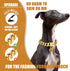 Dog Chain Collar - 15mm 19mm Thick with Quick Release Buckle - 18K Gold Chain for Small Medium Large Dogs (19MM, 24")