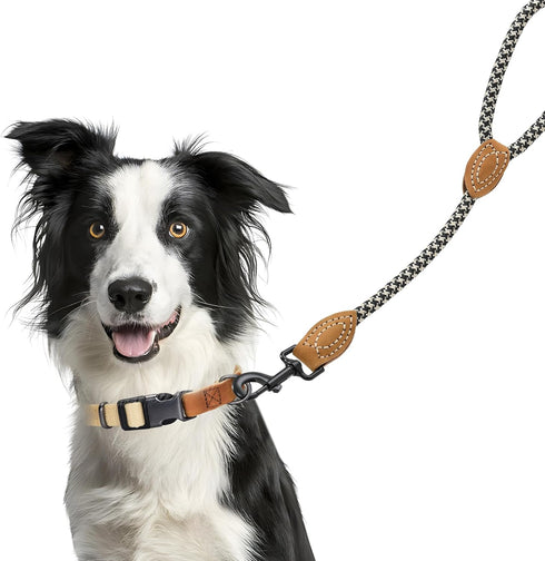 Mile High Life Short Dog Leash, 18 Inch, Heavy Duty Metal Clasp, Genuine Leather Tailored Connection for Large Dogs -