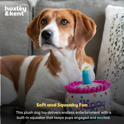 Huxley & Kent Plush Dog Toy w/Squeaker - Power Plush Stuffed Toy for Dogs, Happy Barkday Cake, Large
