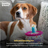 Huxley & Kent Plush Dog Toy w/Squeaker - Power Plush Stuffed Toy for Dogs, Happy Barkday Cake, Large