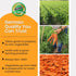 2.2 lbs Olewo Original Carrots for Dogs Fiber for Perfect Poop, Dehydrated Dog Food Toppers for Picky Eaters, Natural