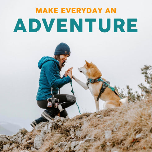 Embark Adventure Dog Collar – Stylish & Durable Nylon Collars for Small Dogs, Adjustable with Strong Buckles