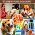 Dog Toys - 4-Pack Indestructible Chew Toys for Aggressive Chewers - Nylon Durable Dog Toys for Medium Large