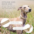 Cupertino Dog Collars, Harnesses & Leashes - Vegan Leather with Dog Tracker Device Holder, Adjustable (Small, Beige)