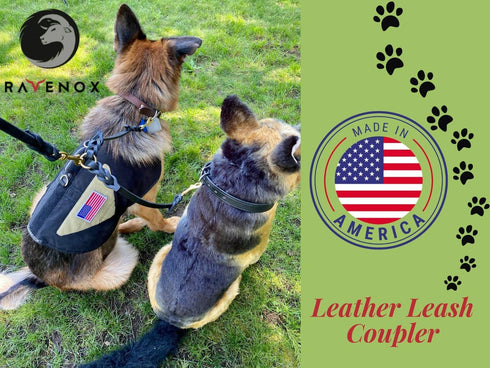 Ravenox Hand-Braided Leather Dog Leash Splitter, 15-Inch Dual Dog Walker, Solid Brass, Amish Made in USA