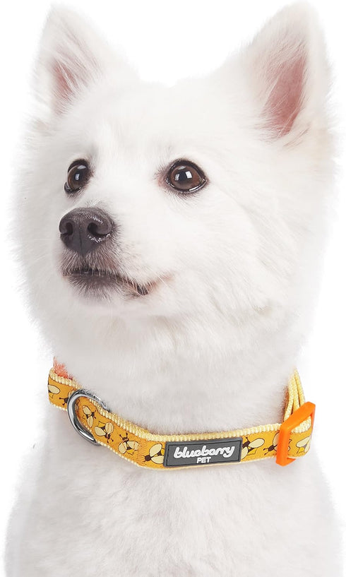 Blueberry Pet Essentials 10 Patterns Busy Bees Designer Adjustable Dog Collar, Small, Neck 12"-16"