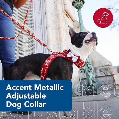 Coastal Pet Accent Metallic Adjustable Dog Collar, Comfortable with Sturdy Metal Buckle, Royal Burgundy Crowns, 5/8" x