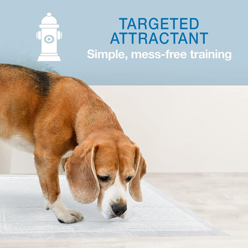 22" 23", 50 Count Four Paws Wee-Wee Super Absorbent Unscented Pee Pads for Dogs & Puppies with Insta-Rise Border
