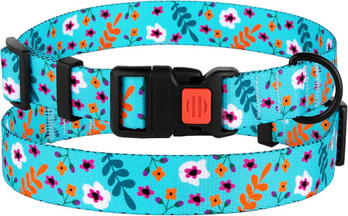 Nylon Dog Collar Floral Pattern Aquamarine, 12-16 Inch
