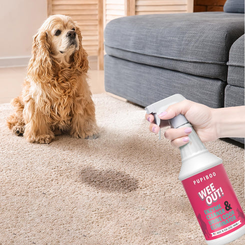 PUPIBOO Wee Out Pet Urine Enzyme Cleaner, Stain and Odor Eliminator for Carpets, Upholstery, Floors