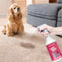 PUPIBOO Wee Out Pet Urine Enzyme Cleaner, Stain and Odor Eliminator for Carpets, Upholstery, Floors