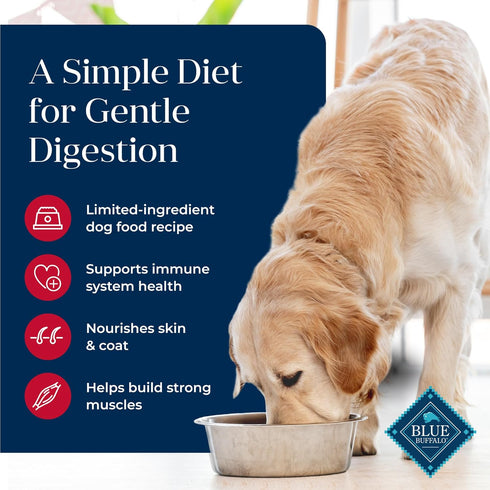 Blue Buffalo Basics Grain-Free Dry Dog Food, Salmon Recipe, Limited Ingredient Diet, 11-lb. Bag for Adult Dogs