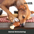 Barkbox Super Chewer Tough Dog Chew Toys for Aggressive Chewers, Dental Stimulating, Turkey - Small
