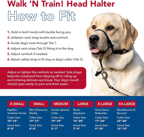 Coastal Pet Walk 'n Train Dog Head Halter, No-Pull Harness, Black, XLarge
