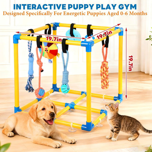 10 WLLEYAY Puppy Play Gym for Small Dogs with Hanging Toys, Removable Indoor Jungle Gym, PVC Frame with Adjustable
