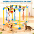 10 WLLEYAY Puppy Play Gym for Small Dogs with Hanging Toys, Removable Indoor Jungle Gym, PVC Frame with Adjustable