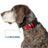 Buckle-Down Plastic Clip Collar, Tasmanian Devil Expressions Red Swirl, 1" Wide, Medium