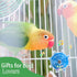 Bird Toys for Parakeets, Interactive Spinner Rattle Budgie Toys, Rotating Wheel Chew Parrot Toys for Medium Birds Small