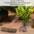 SunGrow 3 Pcs Hermit Crab Woods Climbing Logs & Chews, Long Dried Aquarium Décor Keeps Hermies Active