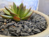Aquarium Gravel - Natural Small Scale Substrate for Aquascaping Freshwater and Saltwater Tanks, Deep Grey/Black