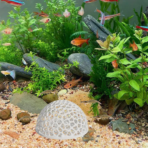 Wzttdm 4 PCS Shrimp Dome Hide, Aquarium Shrimp Cave Hideout, Shrimp Hides for Aquarium Small Fish Guppy Shrimp Habitat