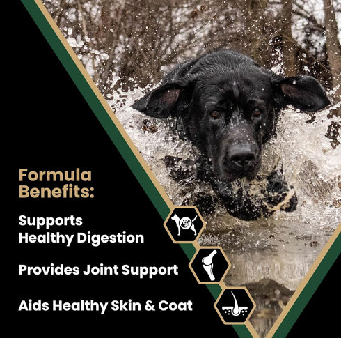 Victor Super Premium Dog Food – Performance Dry Dog Food – 26% Protein for Active Adult Dogs – includes Glucosamine and Chondroitin for Hip and Joint Health, 5lbs