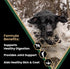 Victor Super Premium Dog Food – Performance Dry Dog Food – 26% Protein for Active Adult Dogs – includes Glucosamine and Chondroitin for Hip and Joint Health, 5lbs