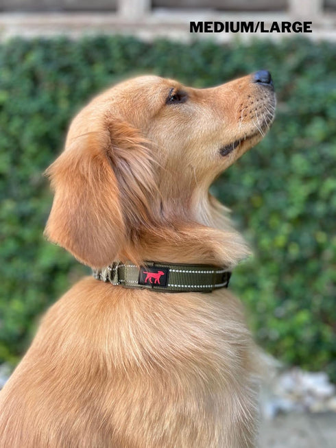 Heavy Duty Dog Collar With Handle | Ballistic Nylon Collar | Padded Reflective Collar with Adjustable Stainless Steel