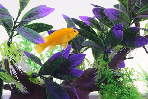 AQUA KT Purple Aquarium Landscape Simulation Artificial Plant, Plastic Fish Tank Decoration, Aquatic Water Plant