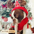 KYEESE Dog Christmas Sweater Hoodie with Leash Hole, Reindeer Snowflake Red Knitwear for Small Dogs, M
