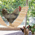 Jorewood Chicken Coop Toy Natural Wooden Chicken Swing & Bridge Toys Multi-Functional Poultry Perch with Wooden Beads