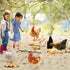 moyardow Chicken Perch, Natural Beech Wood Roosting Ladder, Chick Perch for Strong Wooden Roosting Bar for Poultry