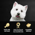 CESAR Adult Wet Dog Food Classic Loaf in Sauce, Steak Lovers Variety Pack, 36 Easy Peel Trays, 3.5 oz Each