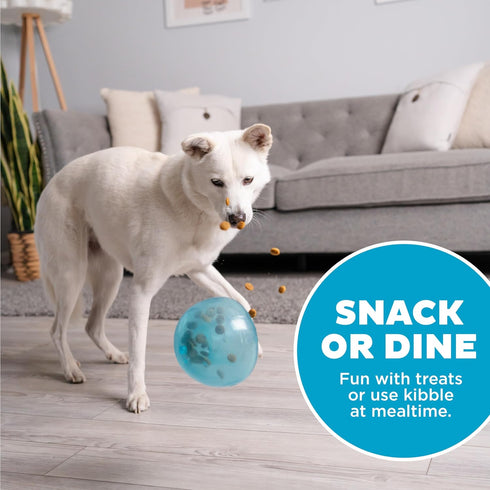 Outward Hound by Planet Dog Snoop Durable Interactive Treat Dispensing Dog Toy - Large, Blue