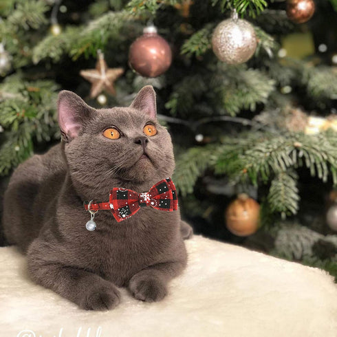Christmas Cat Collar with Bow Tie and Bell, 2 Pack Holiday Breakaway Collar for Male Female Cats