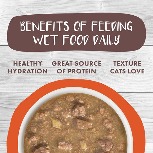 Weruva Classic Cat Stews! - Taco Stewsday with Beef, Chicken & Salmon in Gravy, 2.8oz Can (Pack of 12)