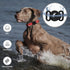 Dog Collar for Medium Large Breeds with 360° Waterproof Airtag Holder, Soft Reflective Nylon, Red