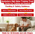 38oz, 100% Beefeaters Chicken Jerky Strips for Dogs Real Chicken Breast, Oven-Baked, Grain-Free Dog Treats for Training