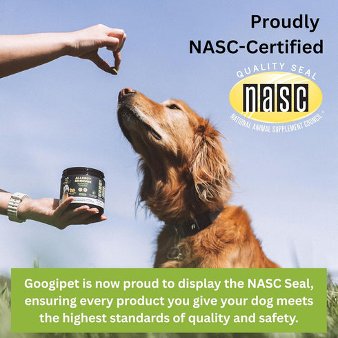 Googipet Premium Dog Multivitamin Chewable, Dog Vitamins and Supplements, Puppy Vitamins & Senior Dogs Probiotics