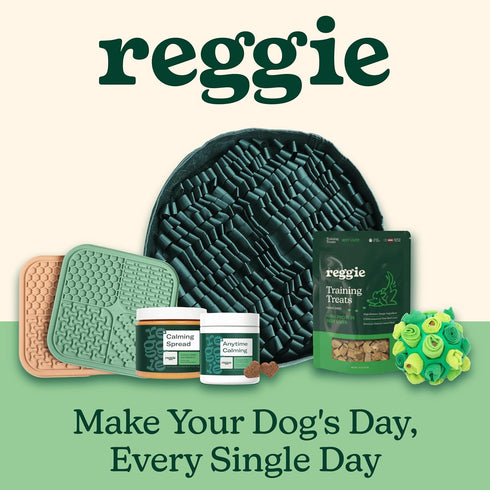 20" Reggie Snuffle Mat for Dogs, for Calming Support, Reducing Speed Eating, and Mental Stimulation, Durable & Easy