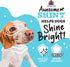 6oz (Pack 8) Weruva Awesome Shiny Wet Dog Food, Beef & Brown Rice, Can
