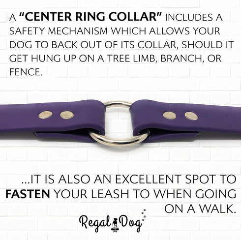 Regal Dog Products Small Purple Dog Collar with Heavy Duty Double Buckle & D Ring, Adjustable Biothane Chew Resistant