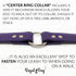 Regal Dog Products Small Purple Dog Collar with Heavy Duty Double Buckle & D Ring, Adjustable Biothane Chew Resistant