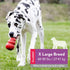KONG Classic Dog Toys with Easy Treat Peanut Butter, 8 Ounce, for X-Large Dogs