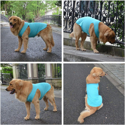 2018 Pet Clothes Dog Clothing - Blank T-shirt Tanks for Small to Large Dogs, 100% Cotton Summer Vest (XXL, Turquoise)
