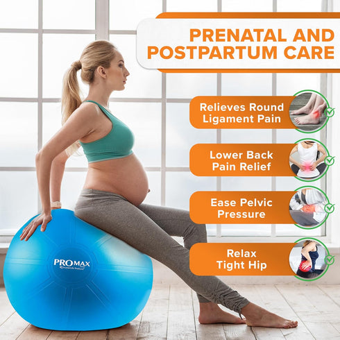 SmarterLife PRO MAX Exercise Ball Yoga, Stability & Balance Trainer for Core Workouts, Fitness, Physical Therapy