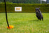DINGO Dog Tug of War Toy - Outdoor Toy with Long Lead for Training, Soft Nubby-Textured Plush.