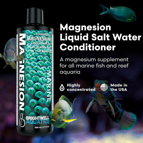 Brightwell Aquatics Magnesion Liquid Salt Water Conditioner - Concentrated Magnesium Supplement For Reef and Marine Aquariums, 8.45 fl oz
