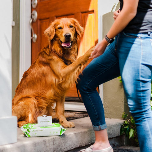 Earth Rated 100 Count Hypoallergenic Dog Wipes, Unscented Grooming Wipes for Paws, Body, and Butt, Perfect for Dogs