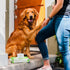 Earth Rated 100 Count Hypoallergenic Dog Wipes, Unscented Grooming Wipes for Paws, Body, and Butt, Perfect for Dogs